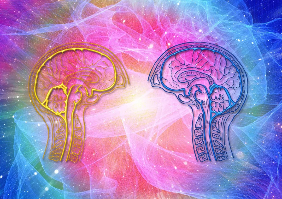 ʲô�ǘO���w���