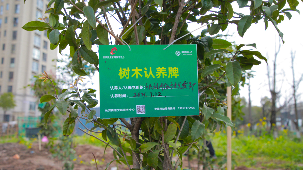 ���h�����I���ľ��� ֲ�乲�������L�ӡ��L���h֧��ֲ�九(ji��)���