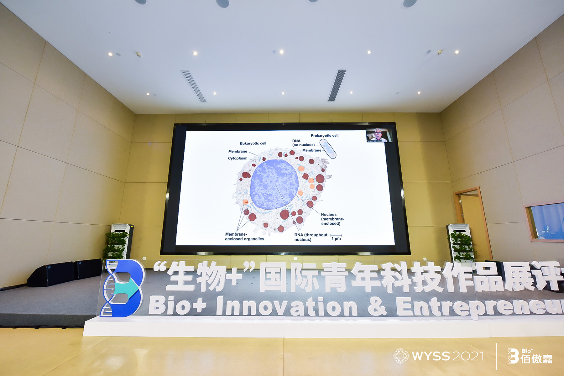 �Zؐ������W(xu��)���t(y��)�W(xu��)�������m��-�x�����������v