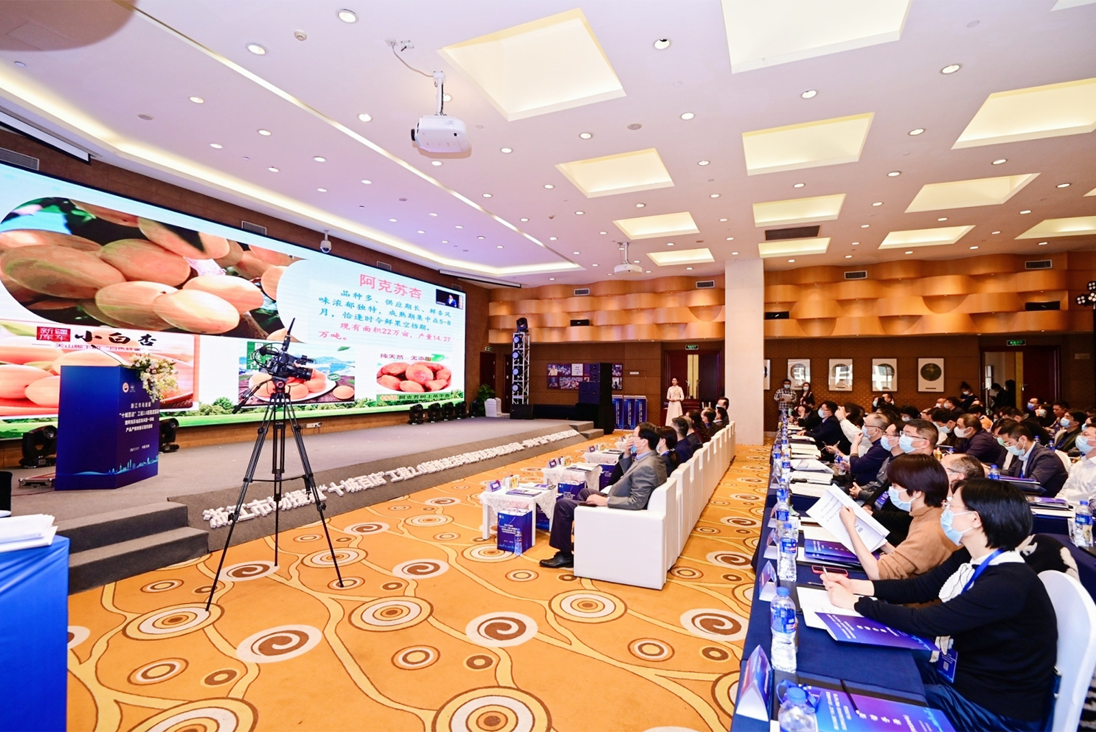 �ɵ��ƺ��s���(d��ng)����PPT������ʾ+���v���e�R�^ֱ��