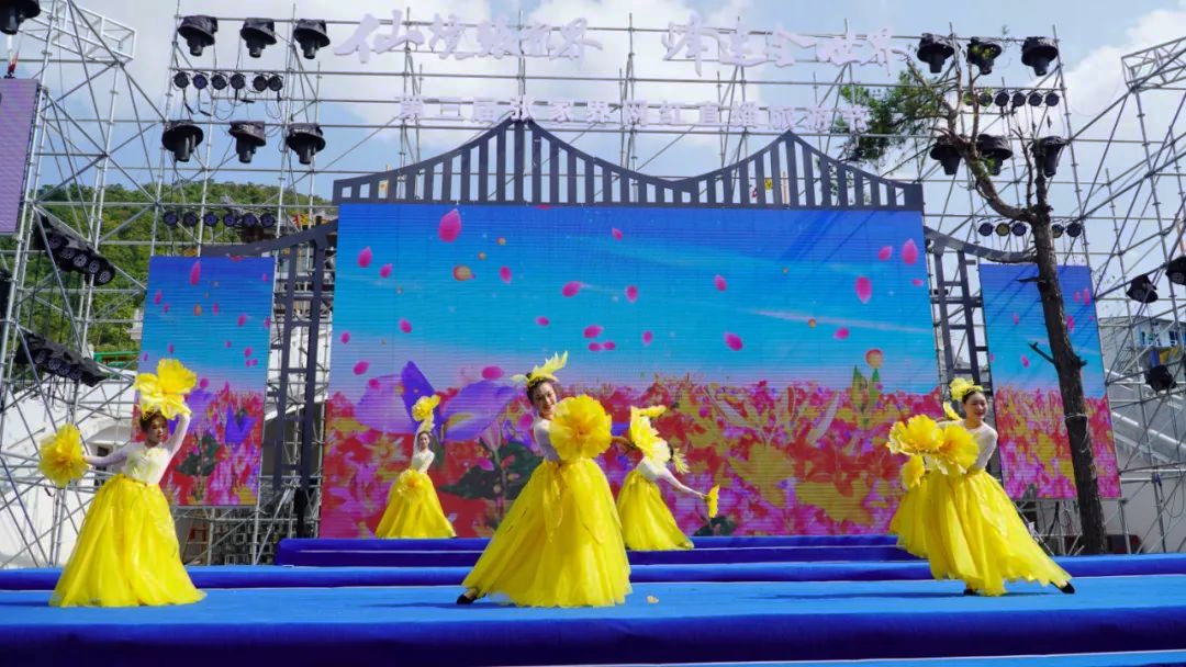 張家界網(wǎng)紅直播旅游節(jié)開(kāi)幕式演出