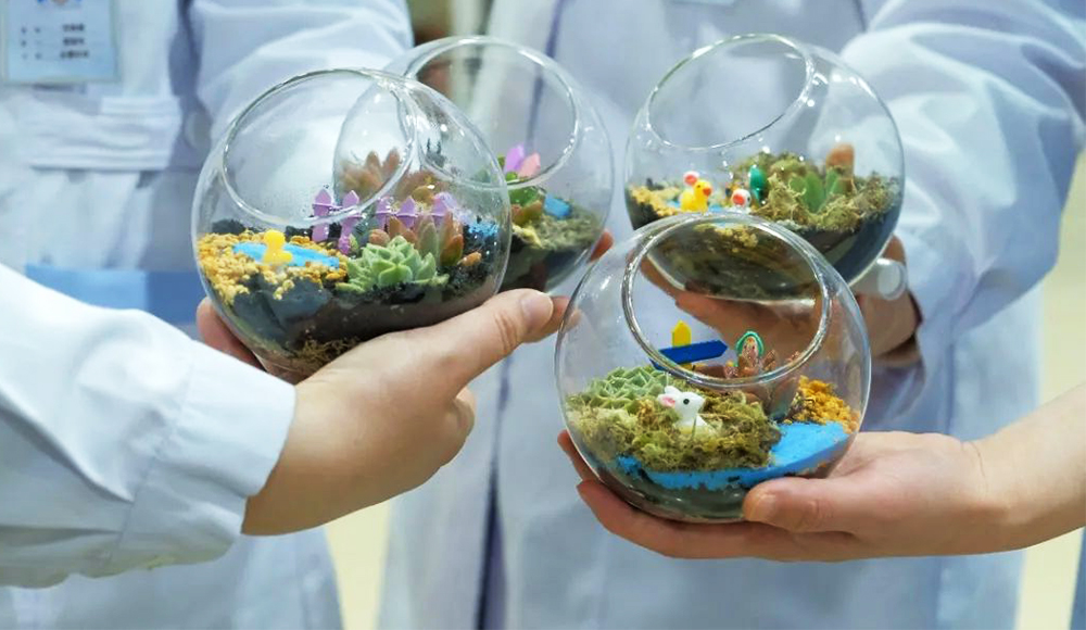 三八婦女節(jié)微景觀花藝制作活動