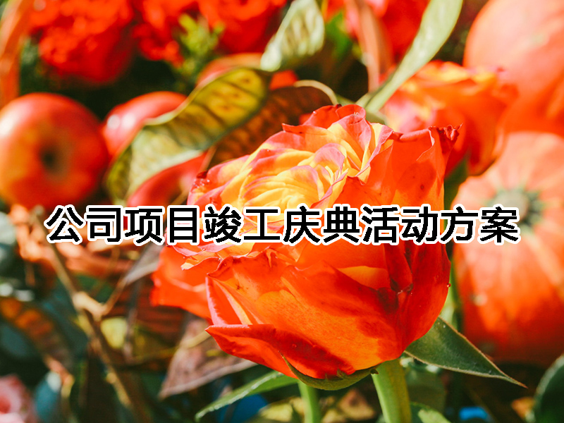 ��˾�Ŀ�����c���ӷ���