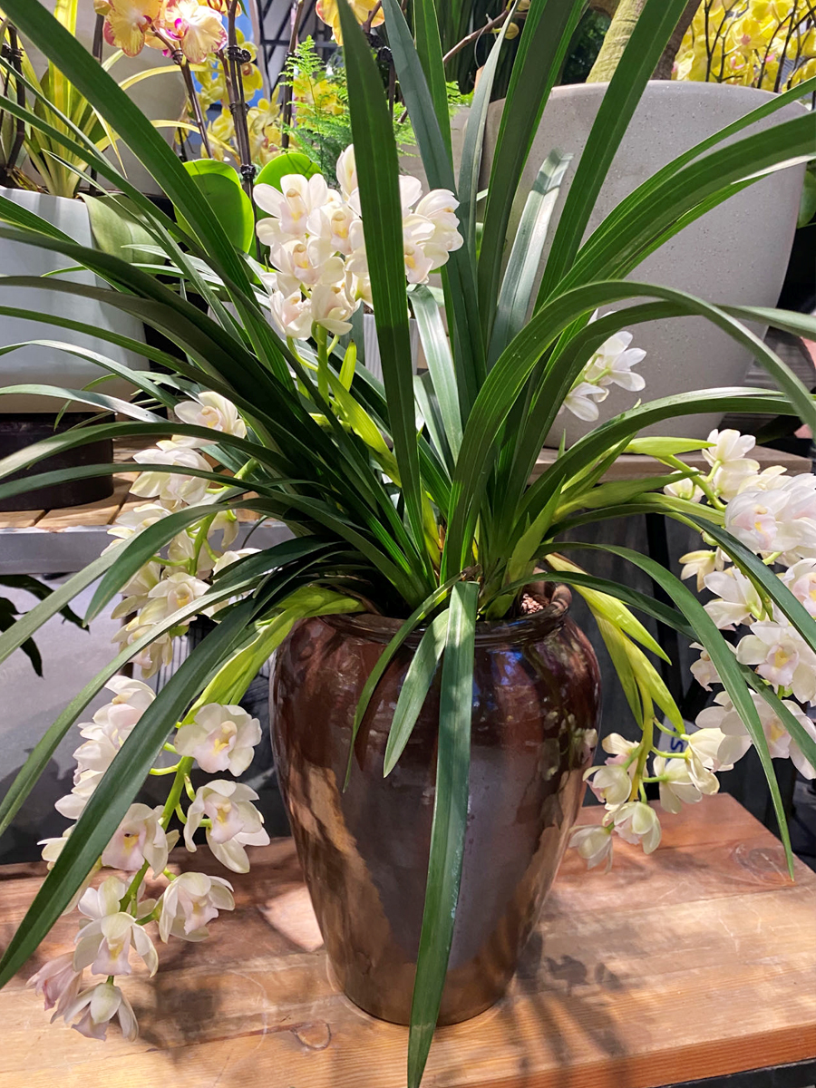 ��˾���w֮ϲ��ʲô�Y�� ���S���w��ʲô�YƷ-1