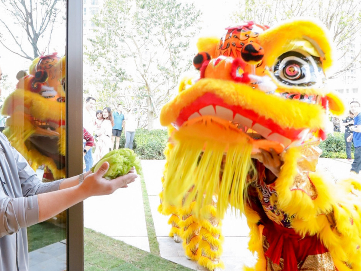 �_�I(y��)�c����{